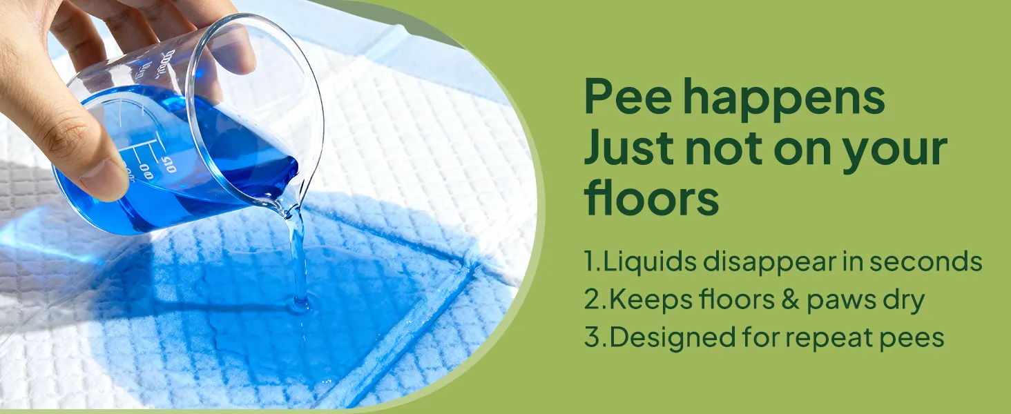 Absorbent multi-layer training pad design