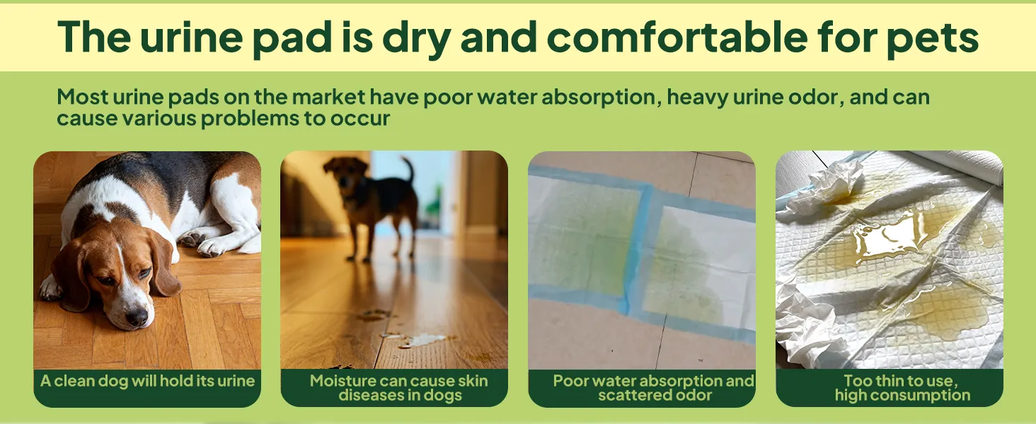 Pet training pads in use