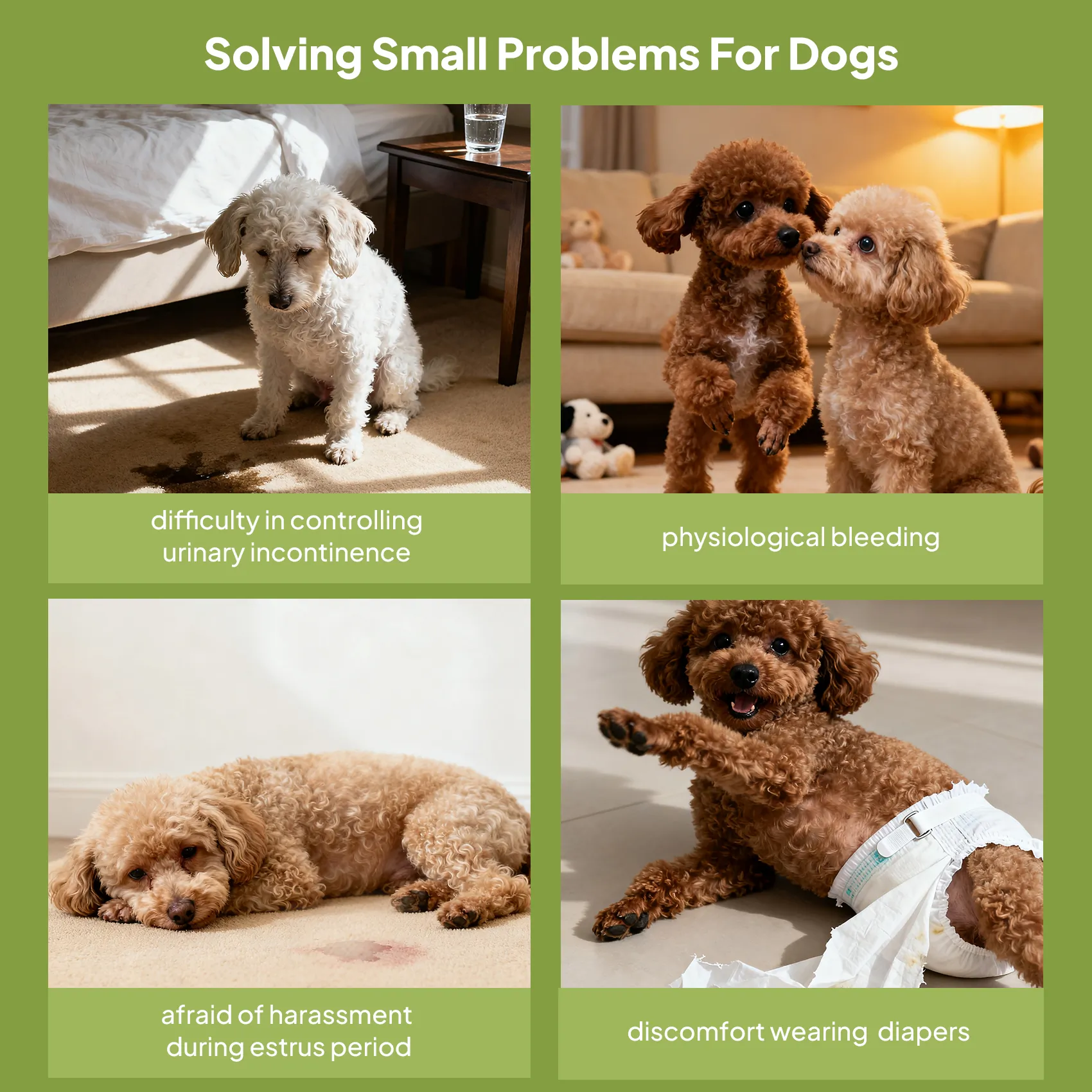 Pet Diapers (female)