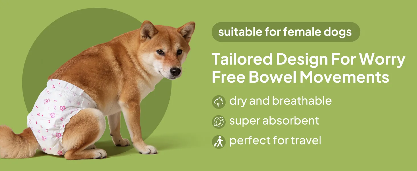 Female dog diaper design detail