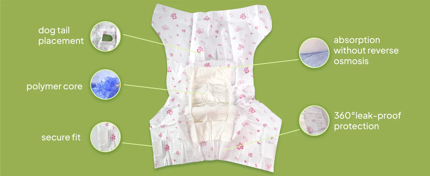 Female dog wearing pet diaper