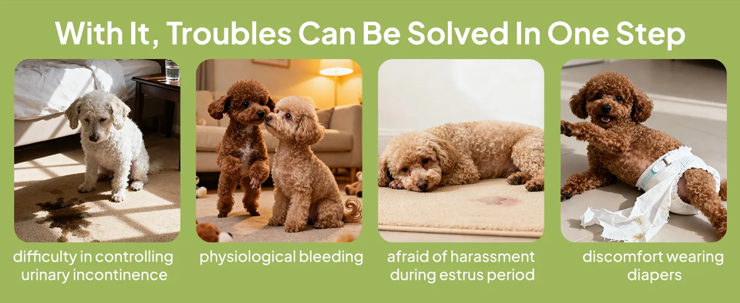 Pet diaper for female dogs