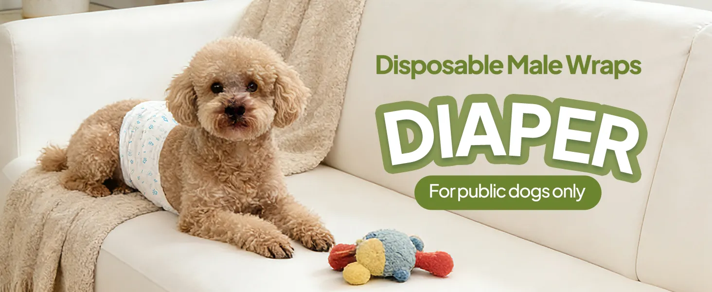 Male dog pet diaper packaging 