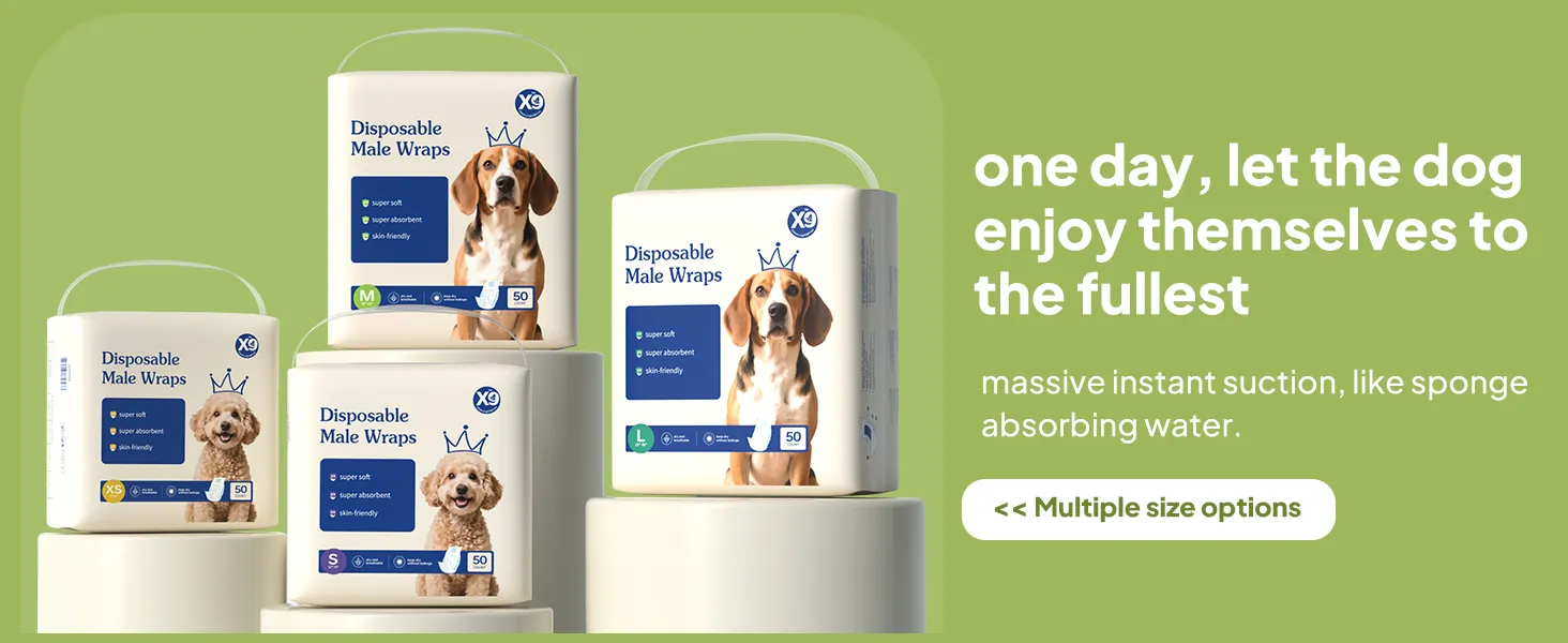 Male dog diaper design detail