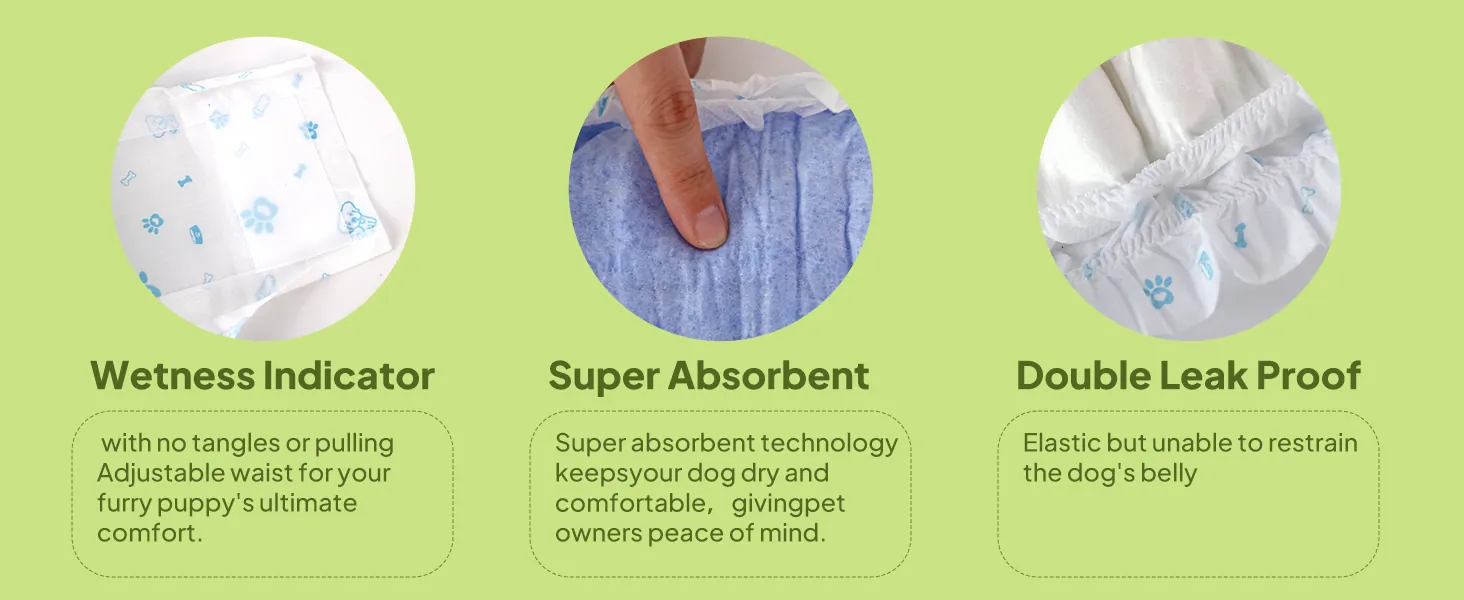 Male dog wearing pet diaper